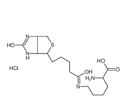 Nε-Biotinyl-L-lysine Nε-Biotinyl-L-lysine