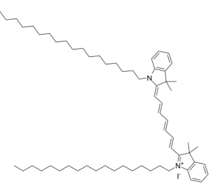 DiR「DiIC18(7)」 DiR「DiIC18(7)」