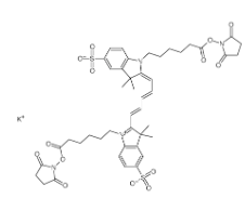 Sulfo-Cy5 bis-SE Sulfo-Cy5 bis-SE