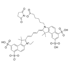 Sulfo-Cy5.5-E 琥珀酰亚胺酯 Sulfo-Cy5.5-E 琥珀酰亚胺酯