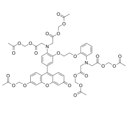 钙荧光探针Fluo-8, AM 钙荧光探针Fluo-8, AM
