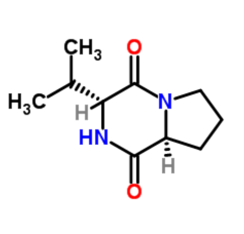 1757663242429544.png image.png