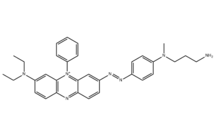 BHQ-3 氨基 BHQ-3 氨基