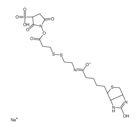 Sulfo-NHS-SS-Biotin sodium Sulfo-NHS-SS-Biotin sodium
