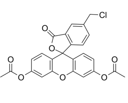 5-氯甲基荧光素二乙酸酯	 