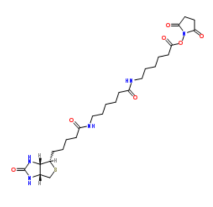 Biotin-LC-LC-NHS Biotin-LC-LC-NHS