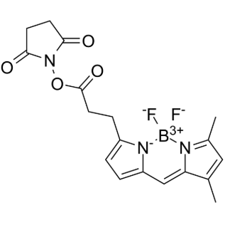 BODIPY FL NHS ester BODIPY FL NHS ester