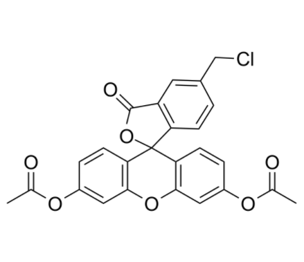 1758529890514914.png image.png