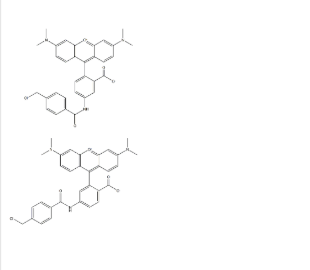 活细胞示踪探针(橙色)