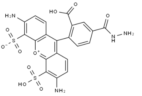 BP Fluor 488 Hydrazide 
