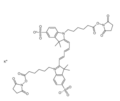 花青5双己酸染料,琥珀酰亚胺酯,钾盐	 
