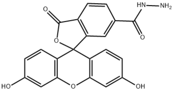 6-FAM Hydrazide 