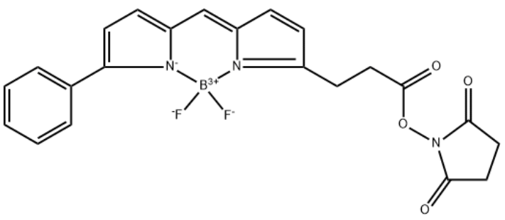 BODIPY-R6G-NHS Ester	 