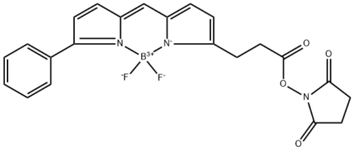 BODIPY R6G Succinimidyl Ester BODIPY R6G Succinimidyl Ester