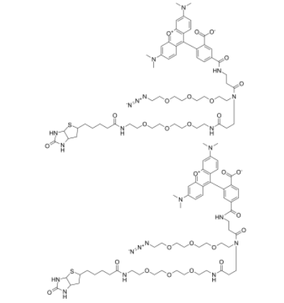 TAMRA-Biotin-N3  