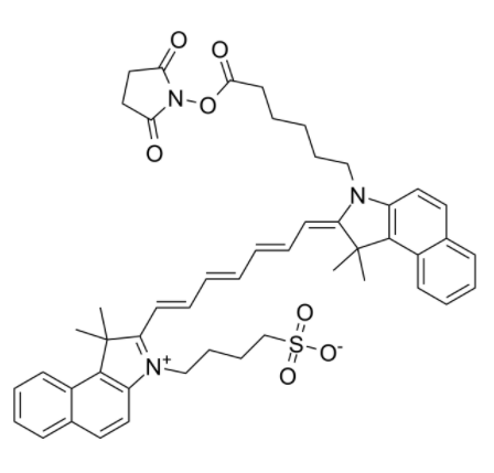 吲哚菁绿-琥珀酰亚胺酯 吲哚菁绿-琥珀酰亚胺酯