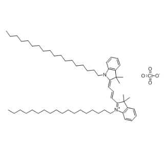 DiI(橙色荧光探针) DiI(橙色荧光探针)