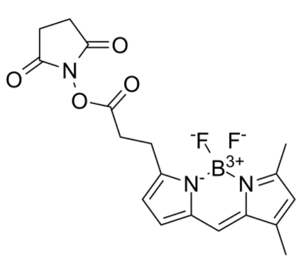 1759215325326192.png image.png