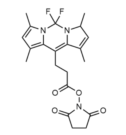 BODIPY 493/503 NHS BODIPY 493/503 NHS