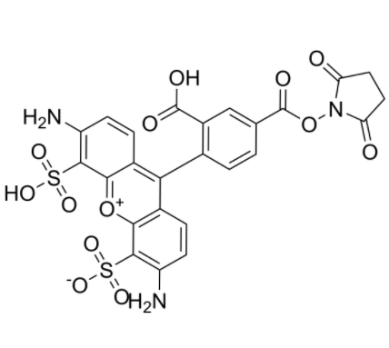 AF488 NHS ester AF488 NHS ester