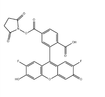 2702251-82-7,Difluorocarboxyfluorescein NHS Ester, 6-isomer 2702251-82-7,Difluorocarboxyfluorescein NHS Ester, 6-isomer