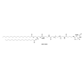 DSPE-PEG-Biotin DSPE-PEG-Biotin