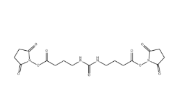 Urea-crosslinker C4-succinimide(CAS:1240387-33-0) Urea-crosslinker C4-succinimide(CAS:1240387-33-0)