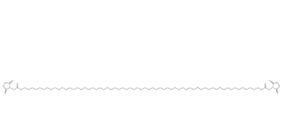 Bis-PEG21-NHS ester(CAS号:2221948-98-5) Bis-PEG21-NHS ester(CAS号:2221948-98-5)