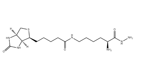 Dextran Gel(葡聚糖凝胶) Dextran Gel(葡聚糖凝胶)
