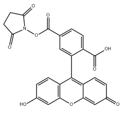 FAM NHS ester, 6-isomer 