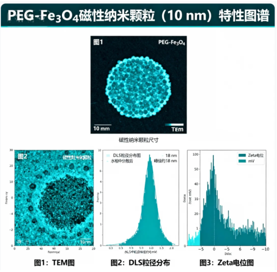PEG修饰无机纳米颗粒