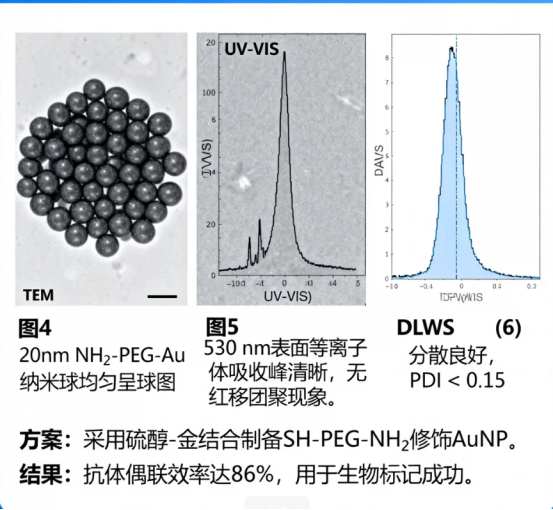PEG修饰无机纳米颗粒