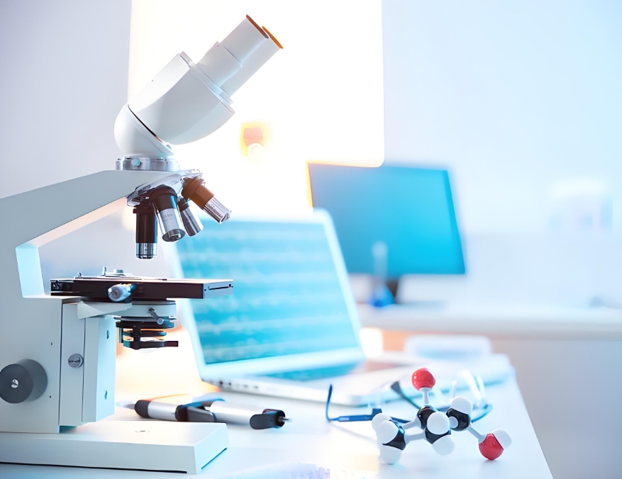 壳聚糖修饰负载氧氟沙星和丁香酚的固体脂质纳米粒