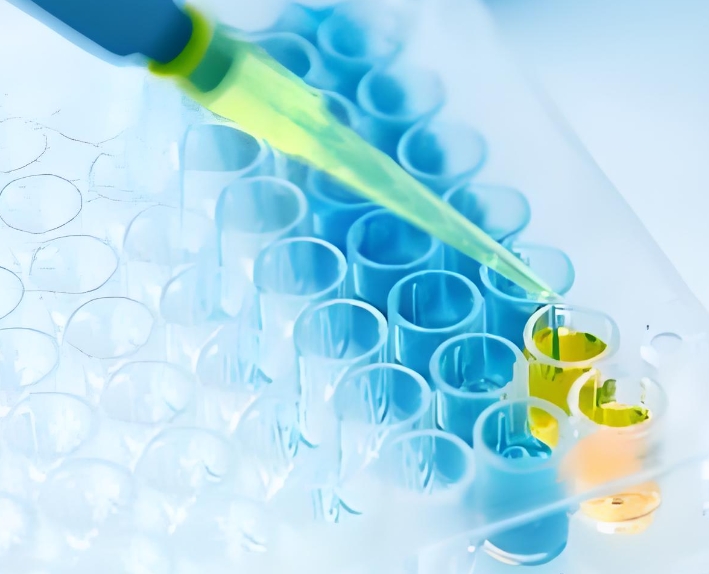 负载靛玉红（IND）的固体脂质纳米粒