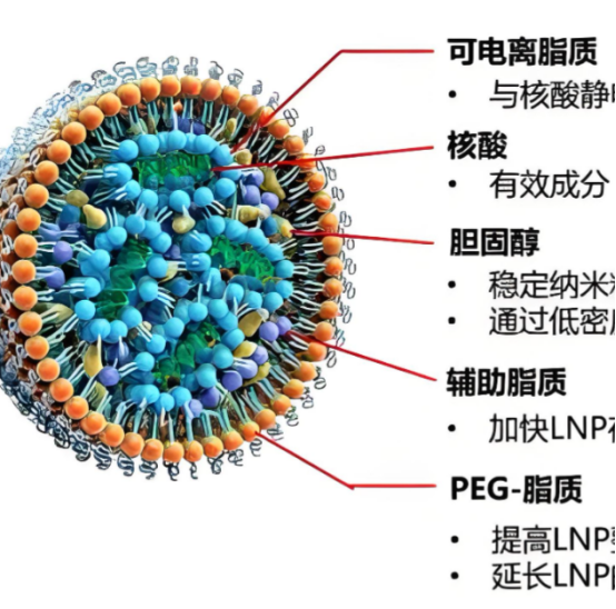 脂质体包药定制服务 脂质体包药定制服务