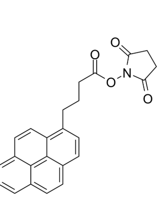 芘丁酸酯-活性酯基