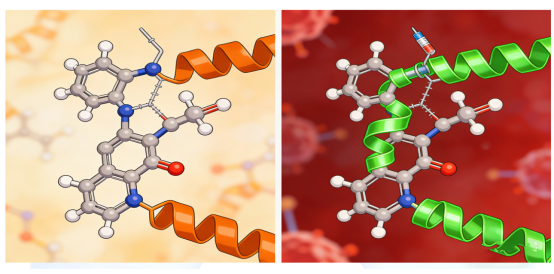 PEG修饰胰岛素 PEG修饰胰岛素
