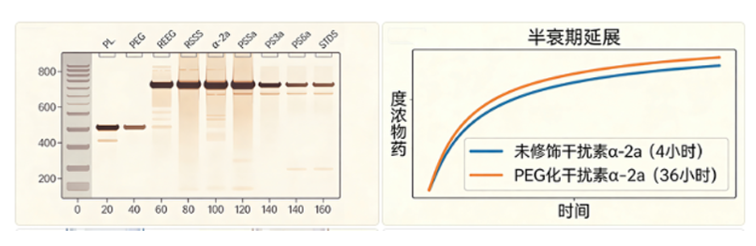 1765422491400065.png image.png