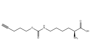 1428845-01-5，N-Pentyn1yloxycarbonyl]-L-lysine