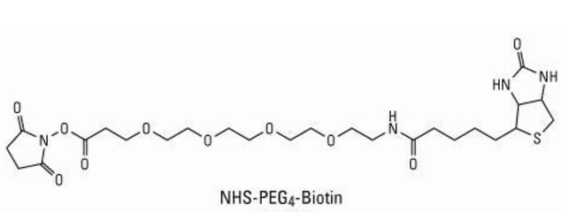生物素-PEG4-NHS 生物素-PEG4-NHS
