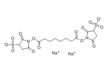 BS3 Cross linker(diso dium) BS3 Cross linker(diso dium)