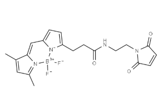 BDP FL maleimide BDP FL maleimide