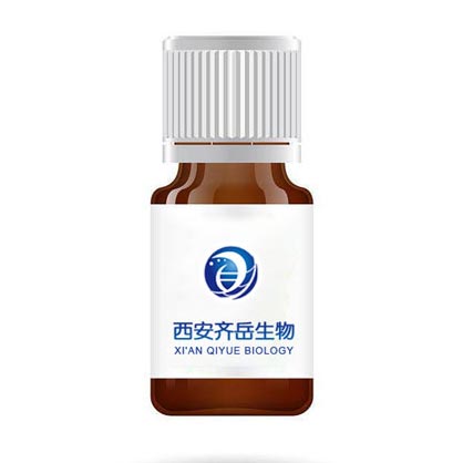 DSPE-PEG5000-甘草次酸修饰负载Fe₃O₄纳米颗粒和紫杉醇的脂质体（GA-PEG@Fe₃O₄/PTX Liposome）