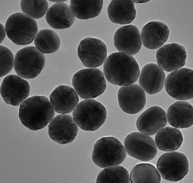 微环境响应胶束定制服务-西安pg电子娱乐游戏app
生物