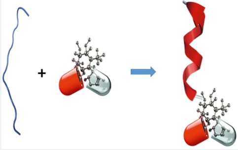 Phalloidin, DyLight 550，鬼笔环肽-DyLight 550的定制合成技术