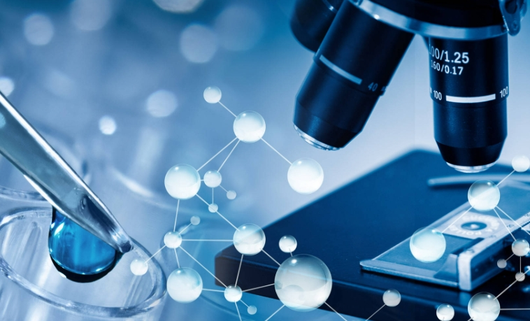 双囊泡脂质体定制合成技术分享-西安pg电子娱乐游戏app
生物