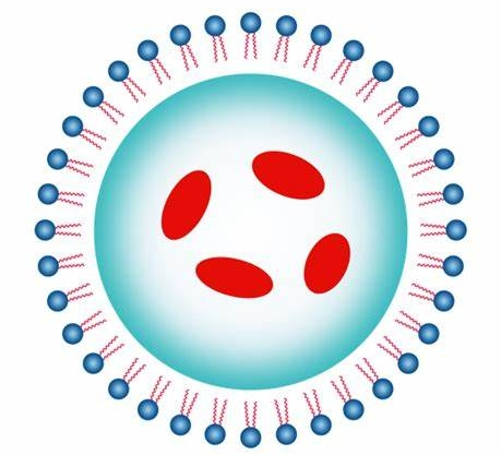 高分子载核酸药物定制技术-西安pg电子娱乐游戏app
生物提供