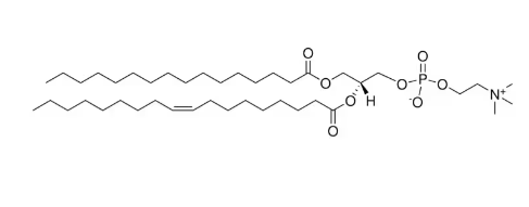 16:0-18:1 PC，CAS:26853-31-6，磷脂酰胆碱（PC）的合成与制备