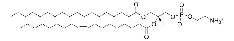 ​18:0-18:1 PE ，CAS:6418-95-7，1-硬脂酰-2-油酰-sn-甘油-3-磷酸乙醇胺的基本信息